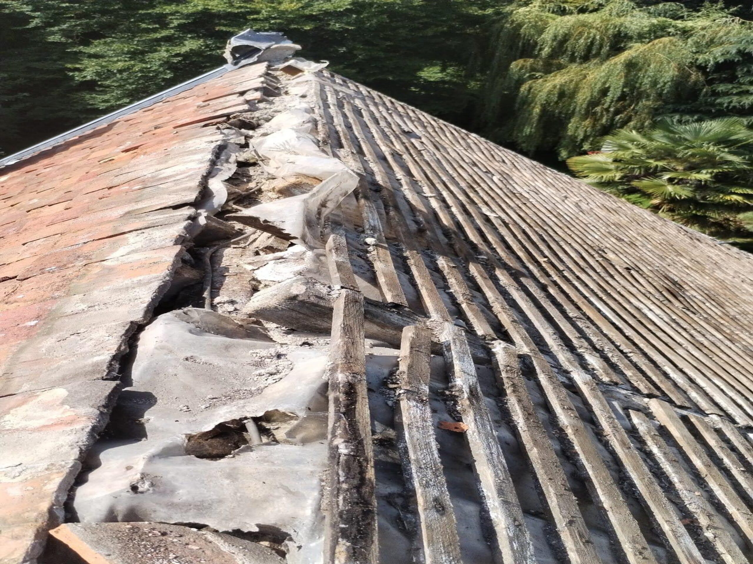 WhatsApp Image 2025-08-09 à 17.03.21_a6b74767